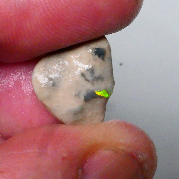 Knobby opal formation rough 6.25cts Lightning Ridge Bit of Bright Green Fires presenting externally but what's inside? 19x13x7mm   Lot B4-A590