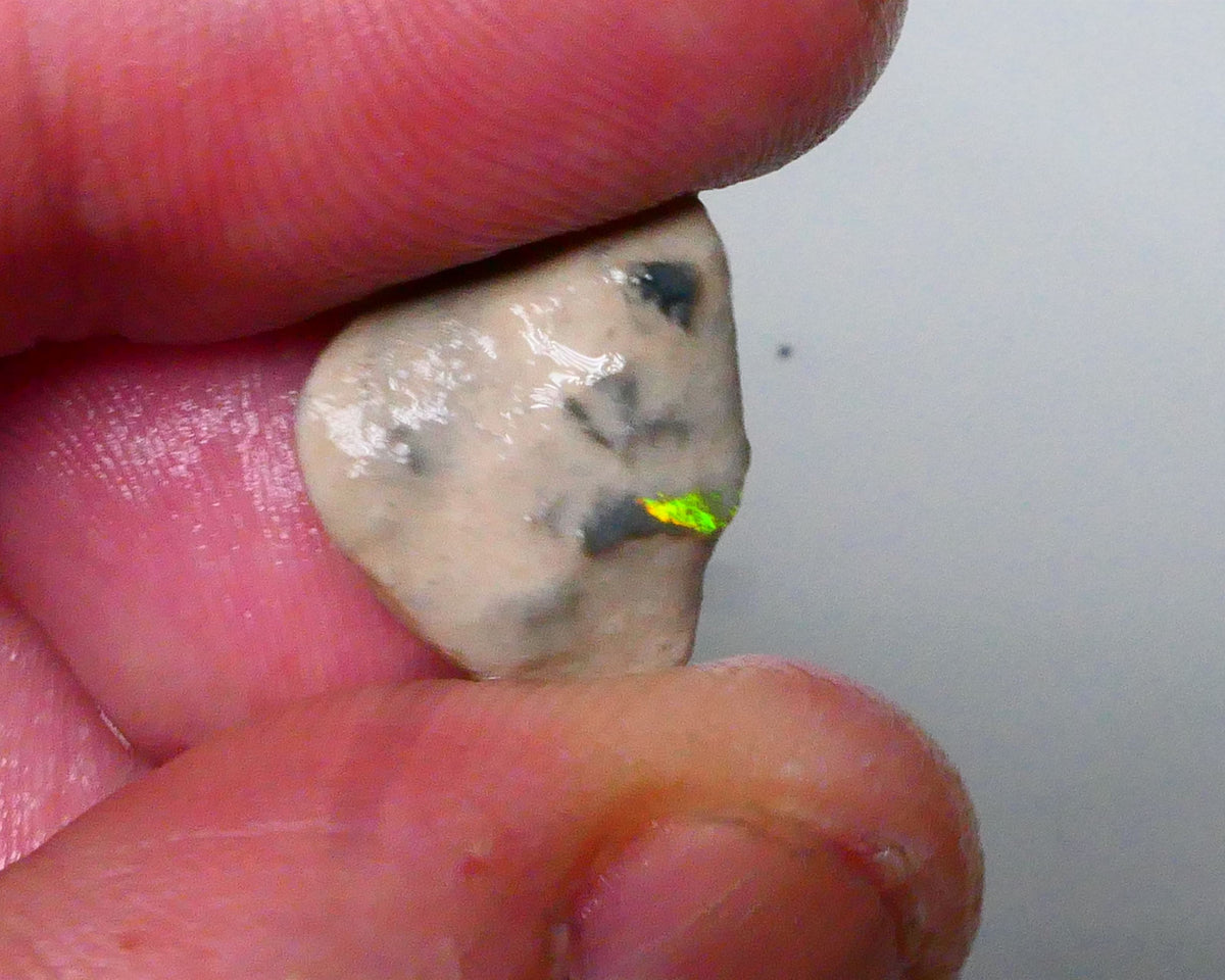 Knobby opal formation rough 6.25cts Lightning Ridge Bit of Bright Green Fires presenting externally but what's inside? 19x13x7mm   Lot B4-A590