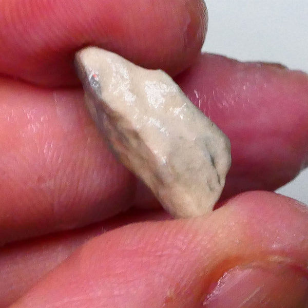 Knobby opal formation rough 6.25cts Lightning Ridge Bit of Bright Green Fires presenting externally but what's inside? 19x13x7mm   Lot B4-A590