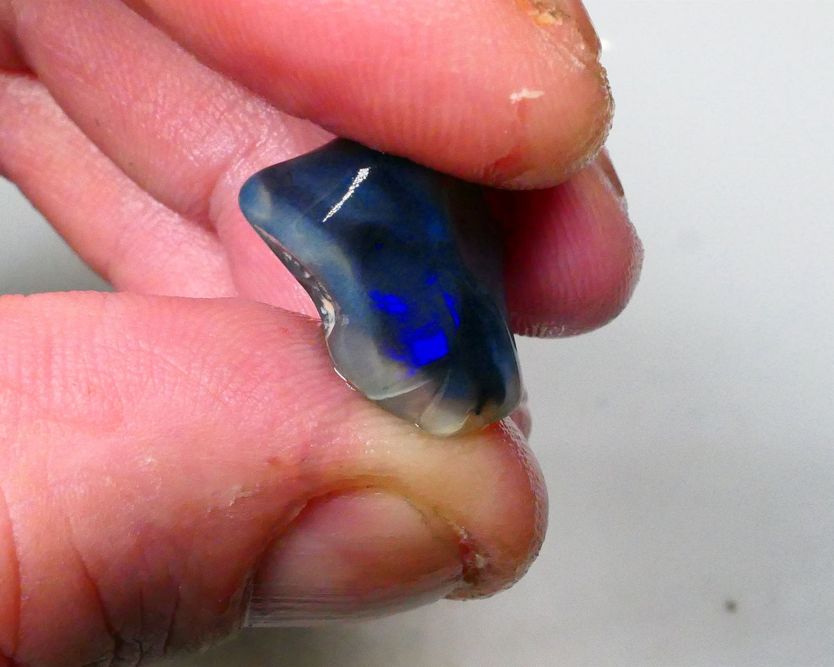 Tumbled black knobby opal rough 18.00cts Lighting Ridge Gorgeous Royal blues making an appearance Chase & cut 17x15x12mm  Lot B4-A584