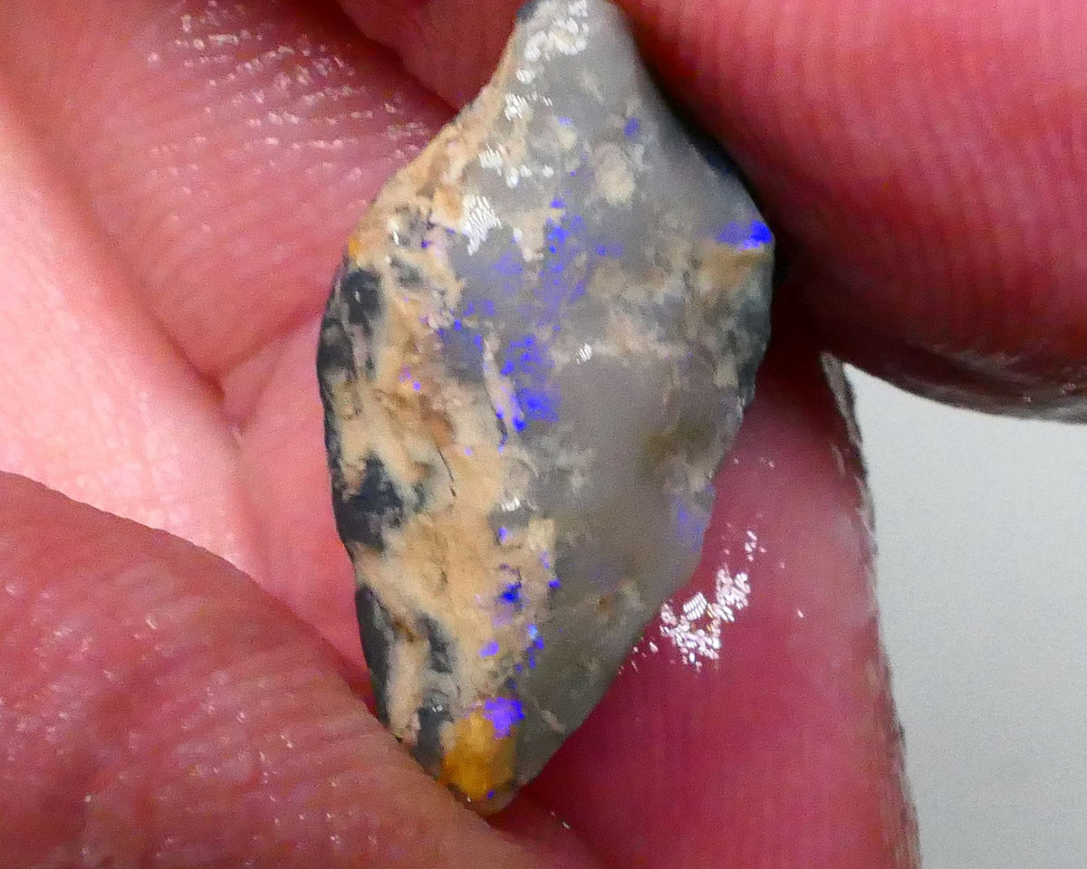 Clipped Dark Base knobby opal rough of Lighting Ridge 7.75cts blue colours showing through the skin 20x13x7mm  Lot B4-A608