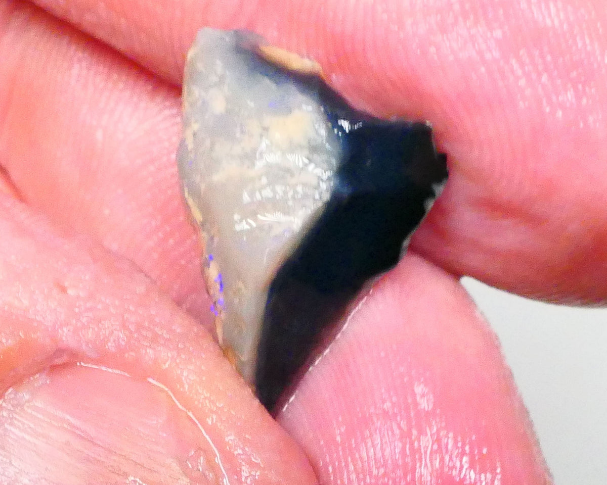 Clipped Dark Base knobby opal rough of Lighting Ridge 7.75cts blue colours showing through the skin 20x13x7mm  Lot B4-A608