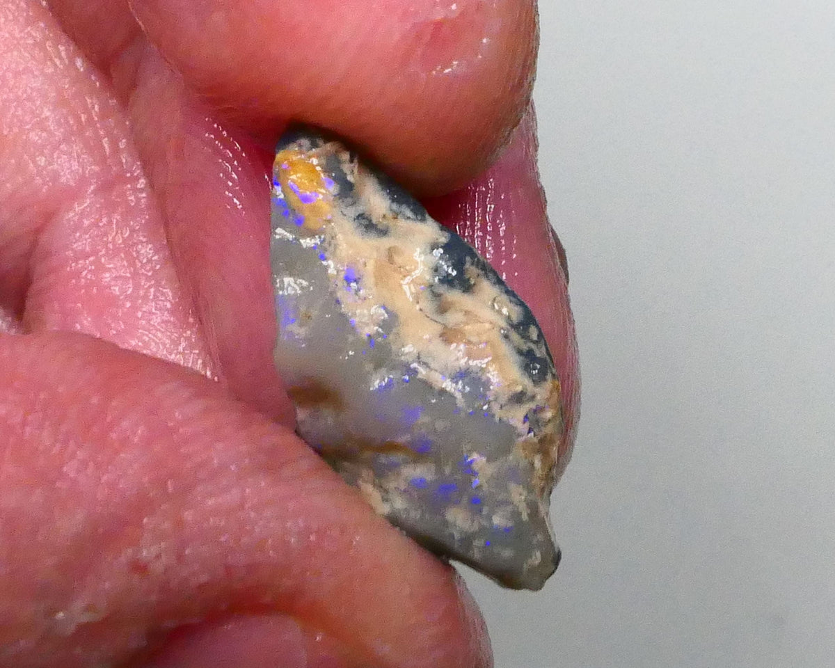 Clipped Dark Base knobby opal rough of Lighting Ridge 7.75cts blue colours showing through the skin 20x13x7mm  Lot B4-A608