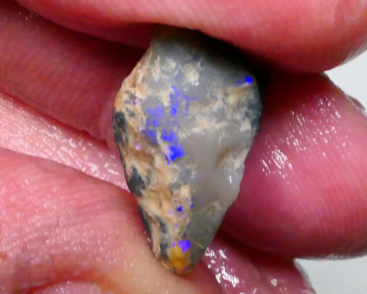 Clipped Dark Base knobby opal rough of Lighting Ridge 7.75cts blue colours showing through the skin 20x13x7mm  Lot B4-A608
