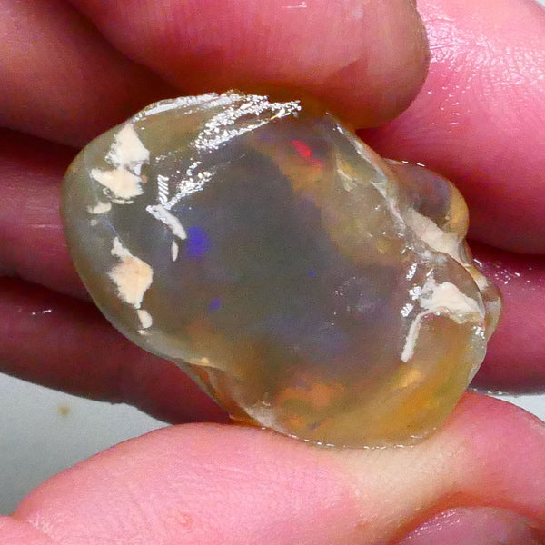RED & blue Fire flashes ? Big sized Amber Knobby opal rough 65.00cts Lighting ridge 32x27x17mm  Lot B4-A611