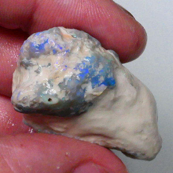 Big sized Lightning ridge knobby opal rough formation 77.00cts Dark base opal deposit with blue fires to gamble or collect 42x27x16mm Lot B4-A614