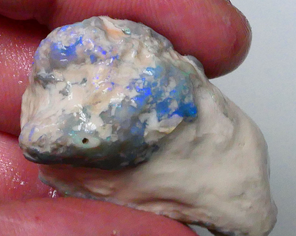 Big sized Lightning ridge knobby opal rough formation 77.00cts Dark base opal deposit with blue fires to gamble or collect 42x27x16mm Lot B4-A614