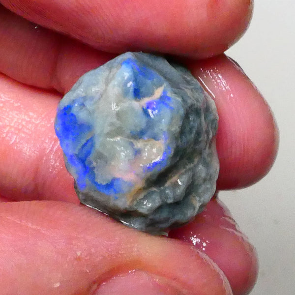 Dark base knobby opal rough of Lightning Ridge 21.00cts Nice blue fires 360 to chase & gamble 20x16x12mm  Lot B4-A615