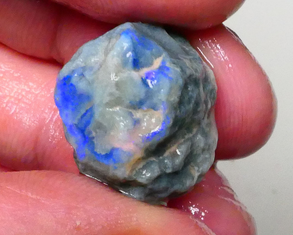 Dark base knobby opal rough of Lightning Ridge 21.00cts Nice blue fires 360 to chase & gamble 20x16x12mm  Lot B4-A615
