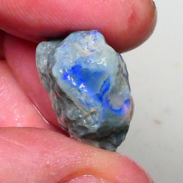 Dark base knobby opal rough of Lightning Ridge 21.00cts Nice blue fires 360 to chase & gamble 20x16x12mm  Lot B4-A615