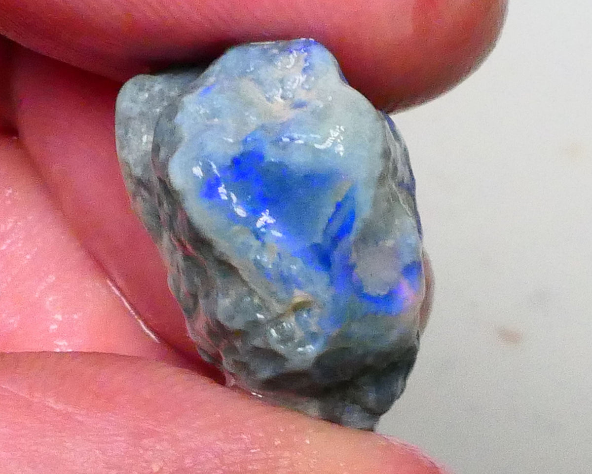 Dark base knobby opal rough of Lightning Ridge 21.00cts Nice blue fires 360 to chase & gamble 20x16x12mm  Lot B4-A615