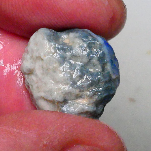 Dark base knobby opal rough of Lightning Ridge 21.00cts Nice blue fires 360 to chase & gamble 20x16x12mm  Lot B4-A615