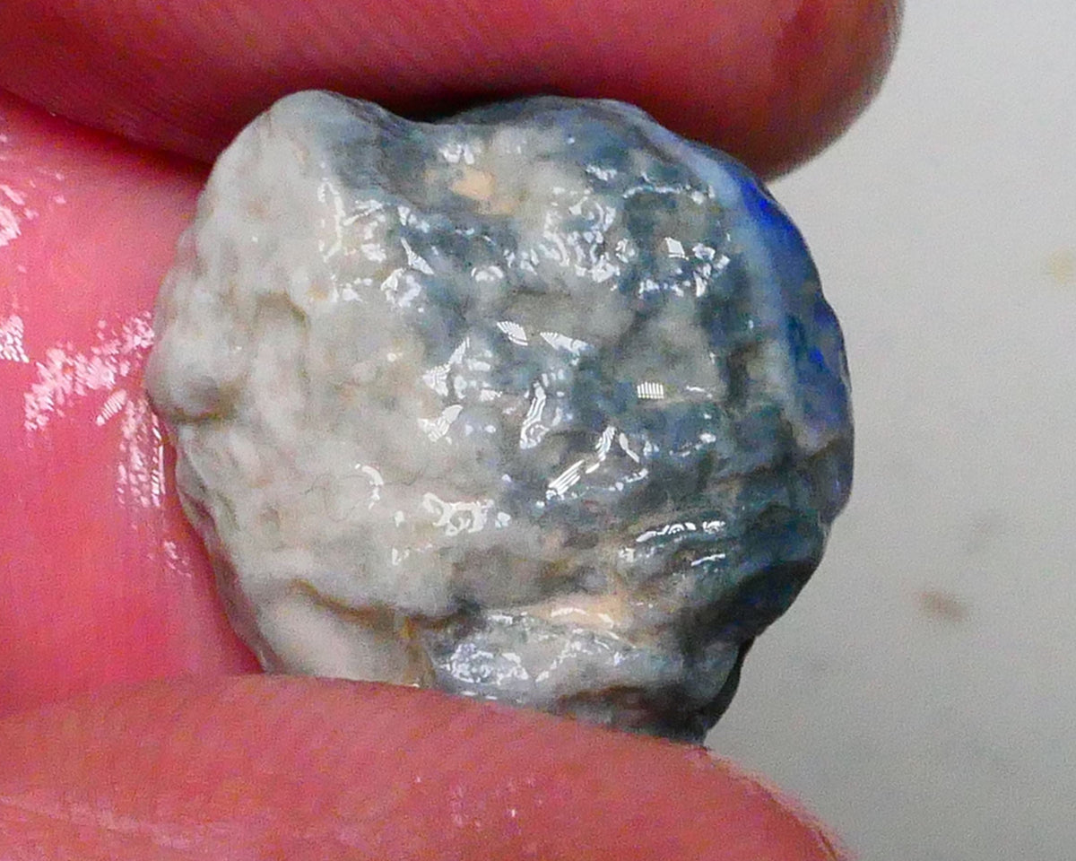 Dark base knobby opal rough of Lightning Ridge 21.00cts Nice blue fires 360 to chase & gamble 20x16x12mm  Lot B4-A615