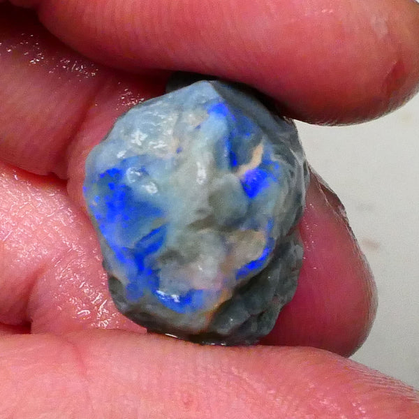Dark base knobby opal rough of Lightning Ridge 21.00cts Nice blue fires 360 to chase & gamble 20x16x12mm  Lot B4-A615