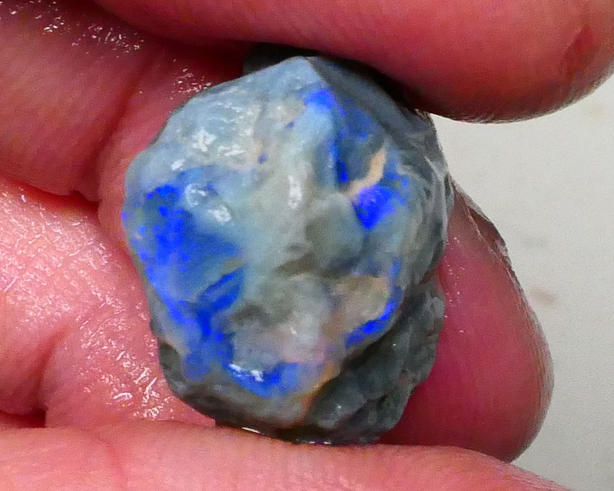 Dark base knobby opal rough of Lightning Ridge 21.00cts Nice blue fires 360 to chase & gamble 20x16x12mm  Lot B4-A615