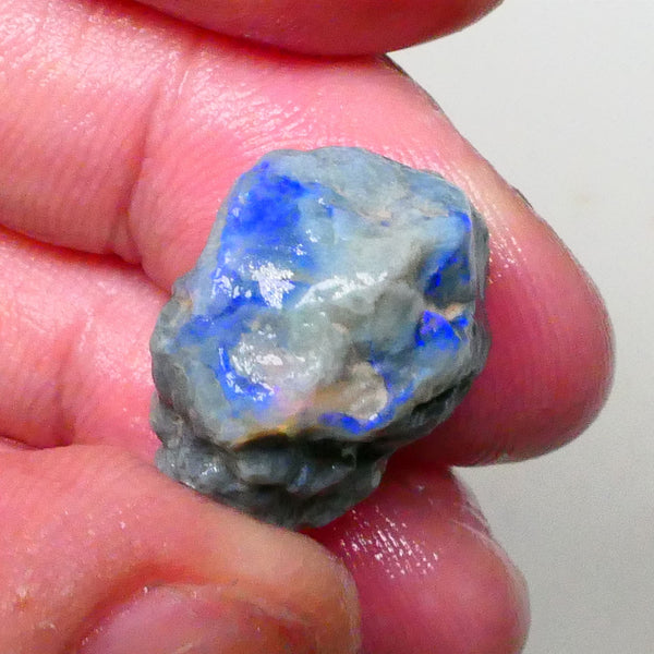 Dark base knobby opal rough of Lightning Ridge 21.00cts Nice blue fires 360 to chase & gamble 20x16x12mm  Lot B4-A615