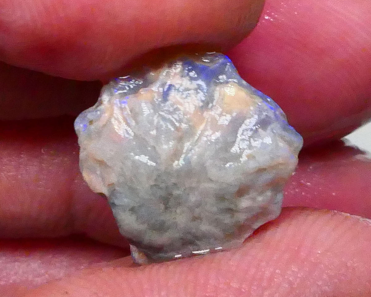 Untouched Dark Crystal knobby opal rough of Lightning Ridge 4.70cts Loaded with blues 16x14x5mm  Lot B4-A619