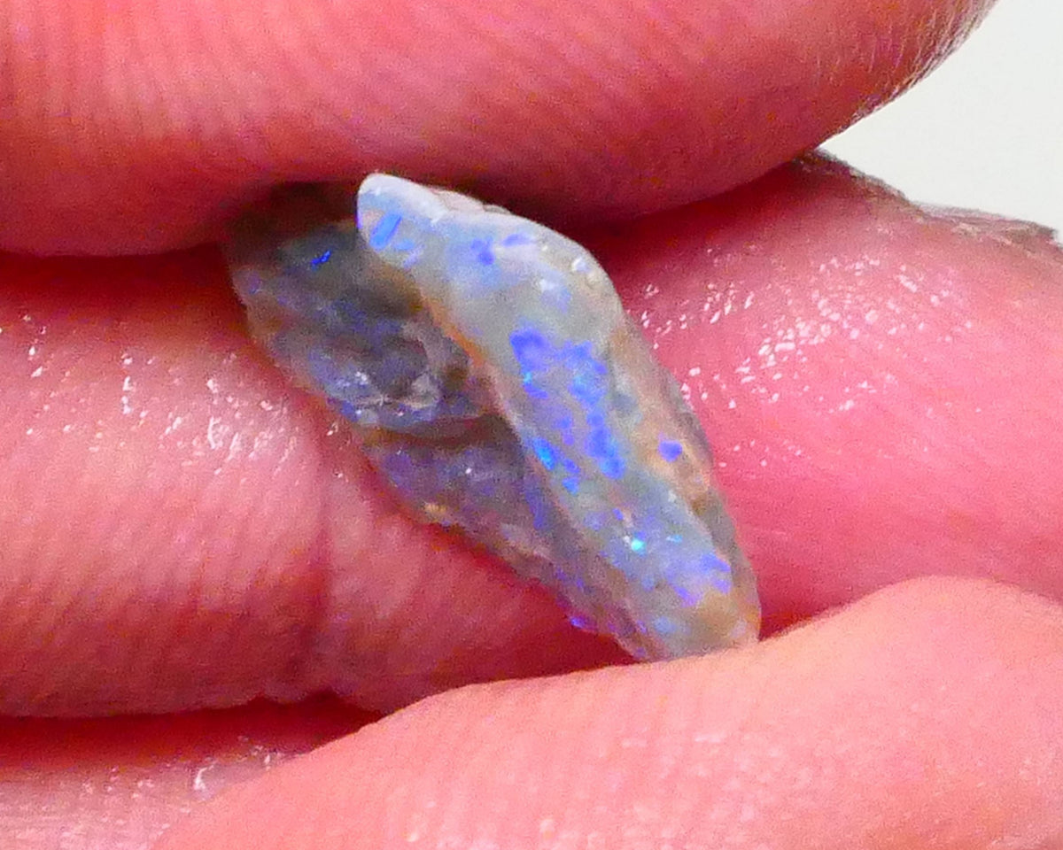 Untouched Dark Crystal knobby opal rough of Lightning Ridge 4.70cts Loaded with blues 16x14x5mm  Lot B4-A619