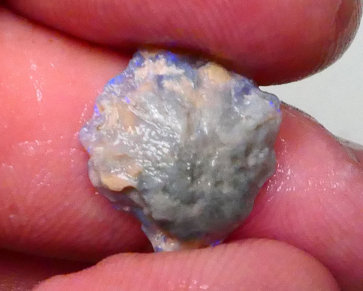 Untouched Dark Crystal knobby opal rough of Lightning Ridge 4.70cts Loaded with blues 16x14x5mm  Lot B4-A619