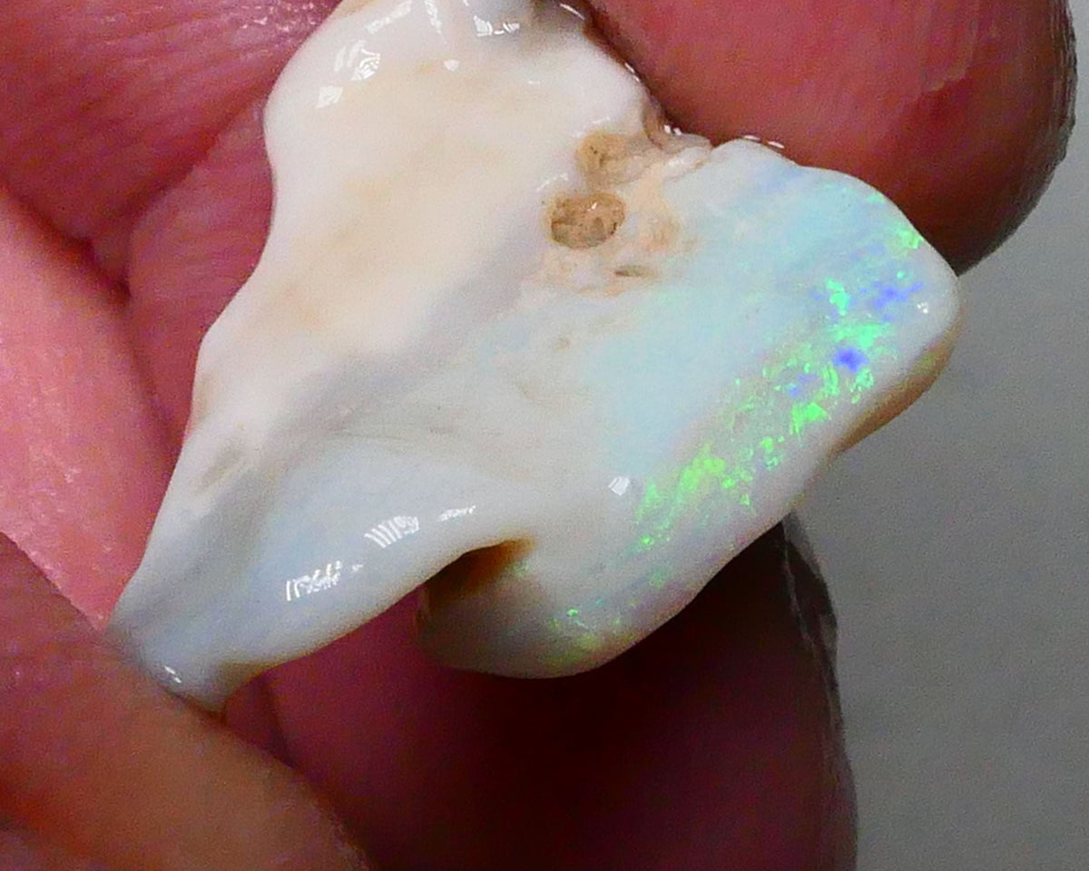 Lightning Ridge Light Base Cutters Seam opal rough 12.25cts Stunning Multicolour bar expose 20x17x9mm  Lot B4-A620