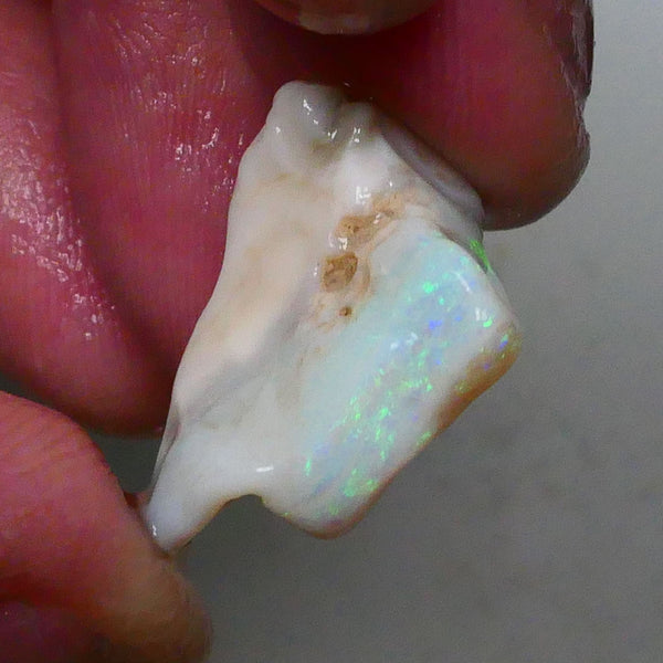 Lightning Ridge Light Base Cutters Seam opal rough 12.25cts Stunning Multicolour bar expose 20x17x9mm  Lot B4-A620