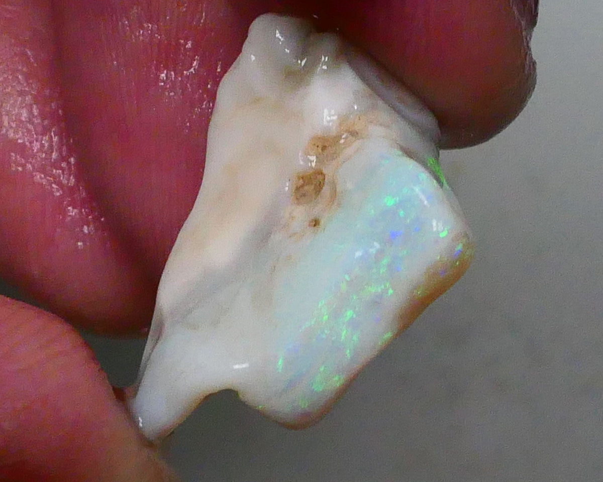 Lightning Ridge Light Base Cutters Seam opal rough 12.25cts Stunning Multicolour bar expose 20x17x9mm  Lot B4-A620