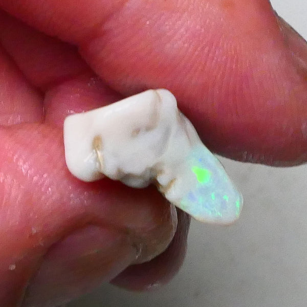 Lightning Ridge Light Base Cutters Seam opal rough 12.25cts Stunning Multicolour bar expose 20x17x9mm  Lot B4-A620