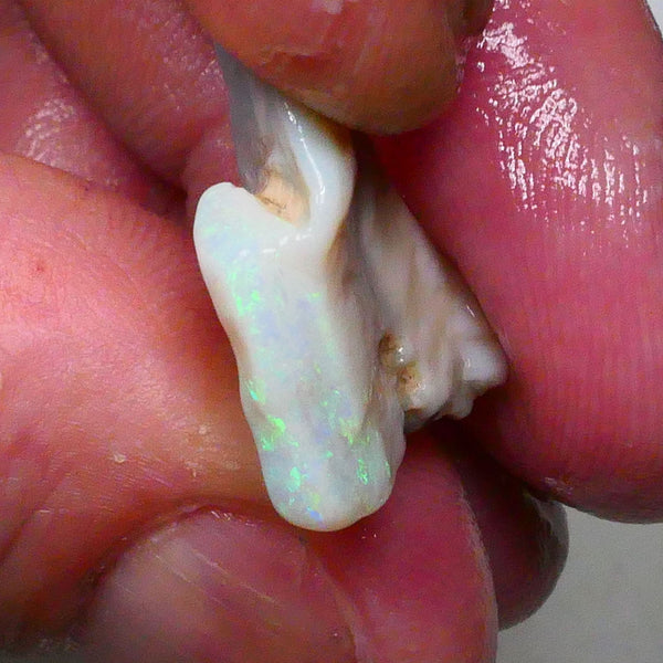Lightning Ridge Light Base Cutters Seam opal rough 12.25cts Stunning Multicolour bar expose 20x17x9mm  Lot B4-A620