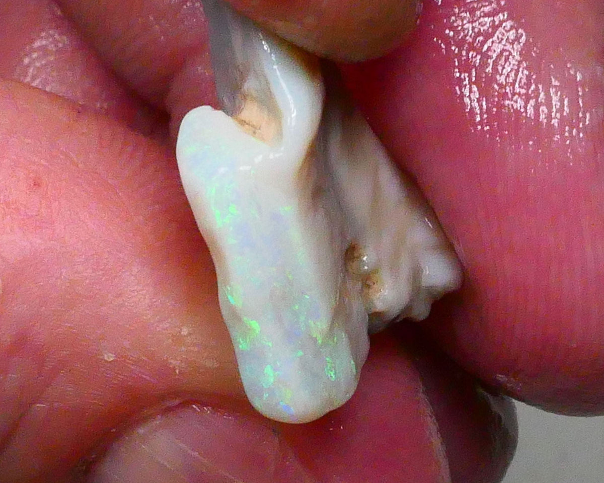 Lightning Ridge Light Base Cutters Seam opal rough 12.25cts Stunning Multicolour bar expose 20x17x9mm  Lot B4-A620