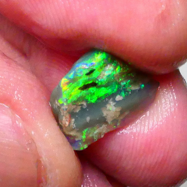 Bright & grogeous Greens & blues 2.10cts Lighting Ridge Opalised wood fossil rough 12x11x3mm Lot B4-A621