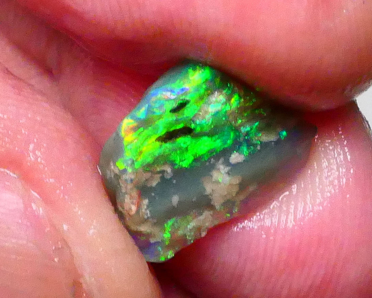 Bright & grogeous Greens & blues 2.10cts Lighting Ridge Opalised wood fossil rough 12x11x3mm Lot B4-A621
