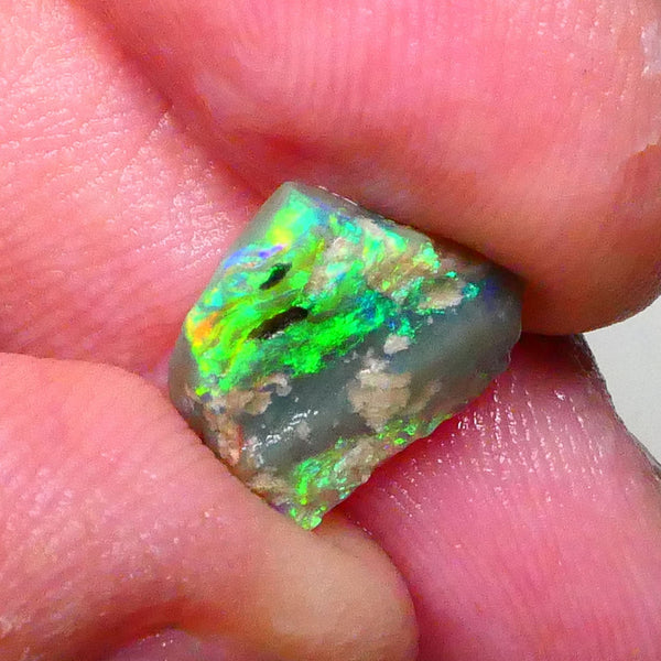 Bright & grogeous Greens & blues 2.10cts Lighting Ridge Opalised wood fossil rough 12x11x3mm Lot B4-A621