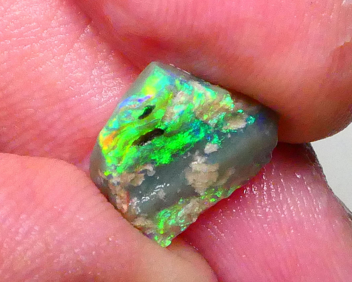 Bright & grogeous Greens & blues 2.10cts Lighting Ridge Opalised wood fossil rough 12x11x3mm Lot B4-A621