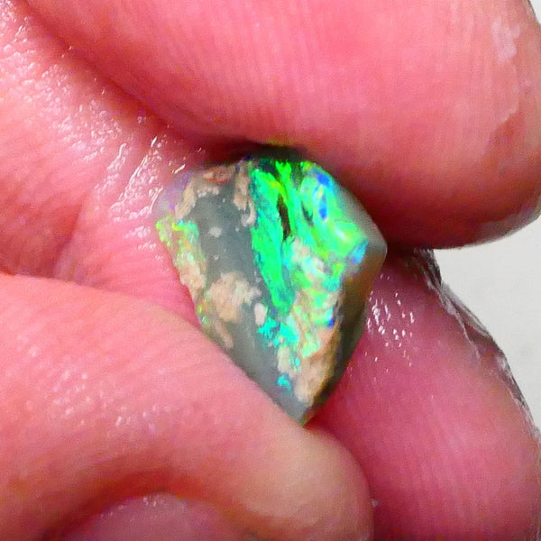 Bright & grogeous Greens & blues 2.10cts Lighting Ridge Opalised wood fossil rough 12x11x3mm Lot B4-A621