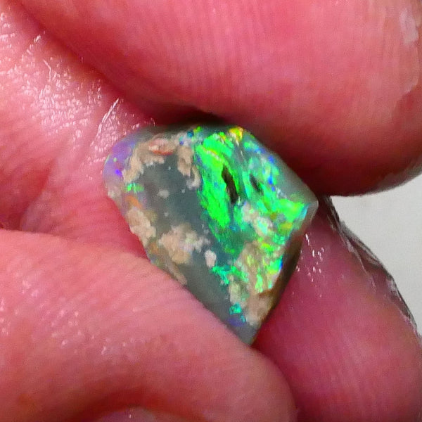 Bright & grogeous Greens & blues 2.10cts Lighting Ridge Opalised wood fossil rough 12x11x3mm Lot B4-A621