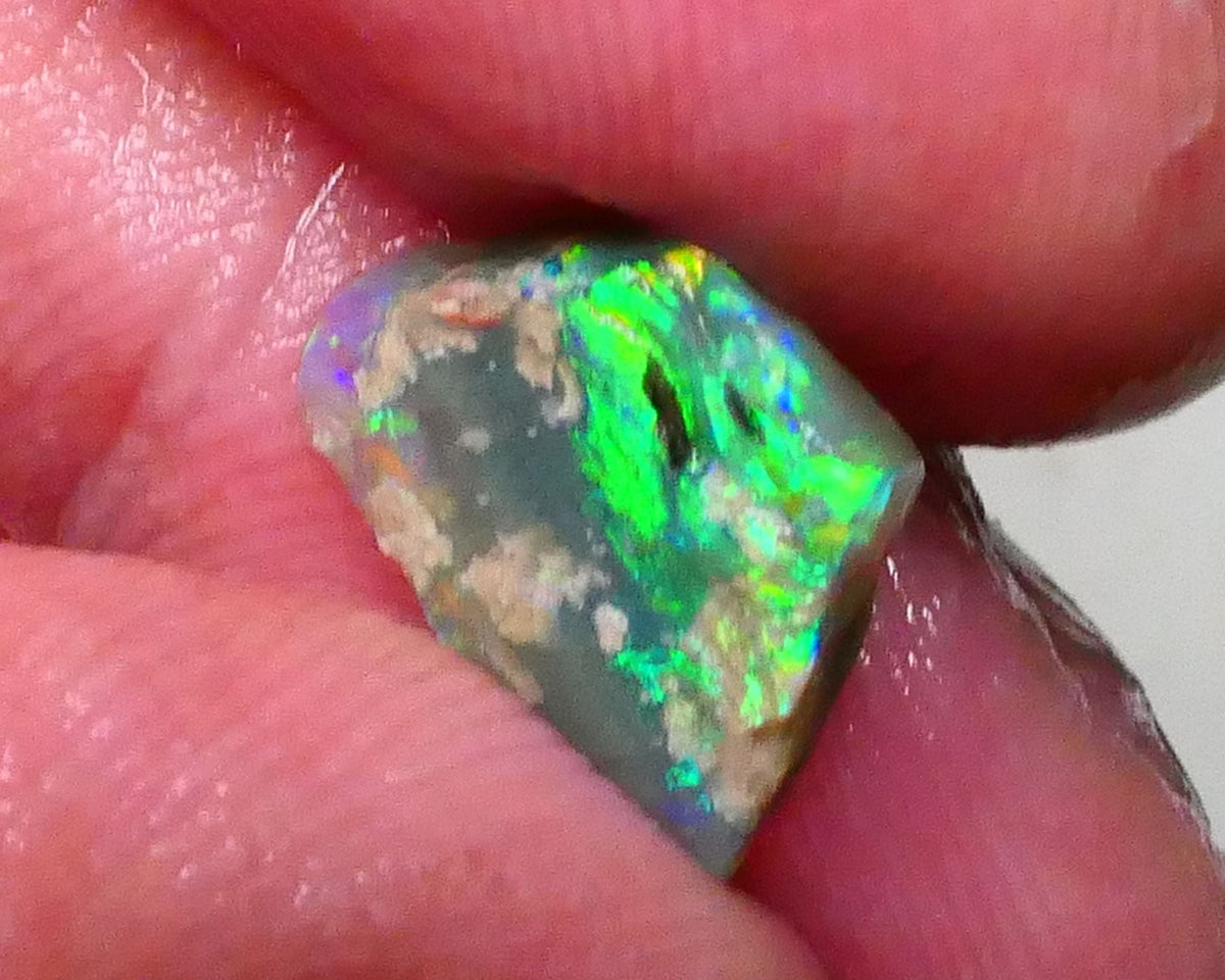 Bright & grogeous Greens & blues 2.10cts Lighting Ridge Opalised wood fossil rough 12x11x3mm Lot B4-A621