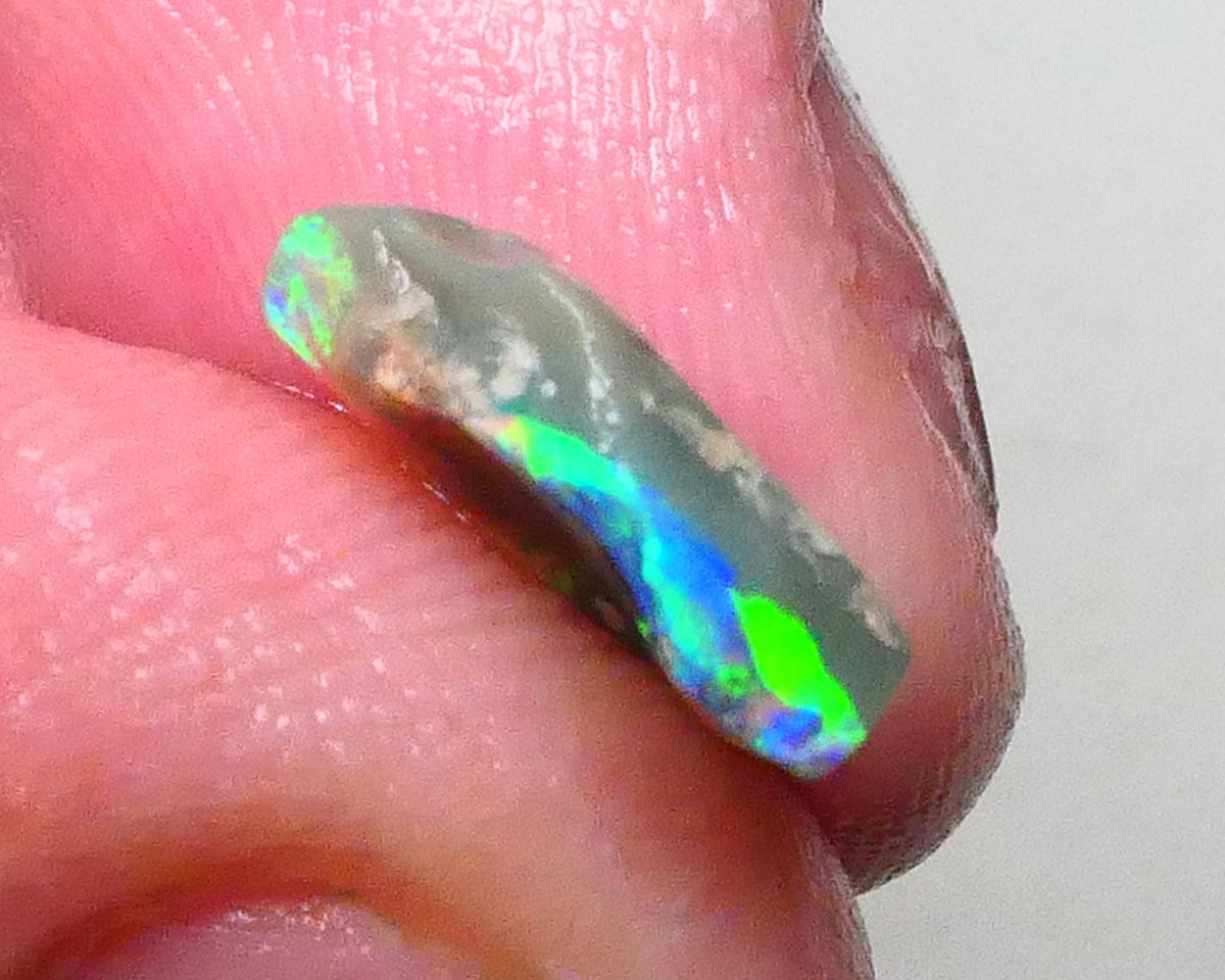 Bright & grogeous Greens & blues 2.10cts Lighting Ridge Opalised wood fossil rough 12x11x3mm Lot B4-A621