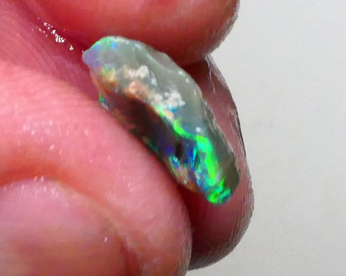 Bright & grogeous Greens & blues 2.10cts Lighting Ridge Opalised wood fossil rough 12x11x3mm Lot B4-A621