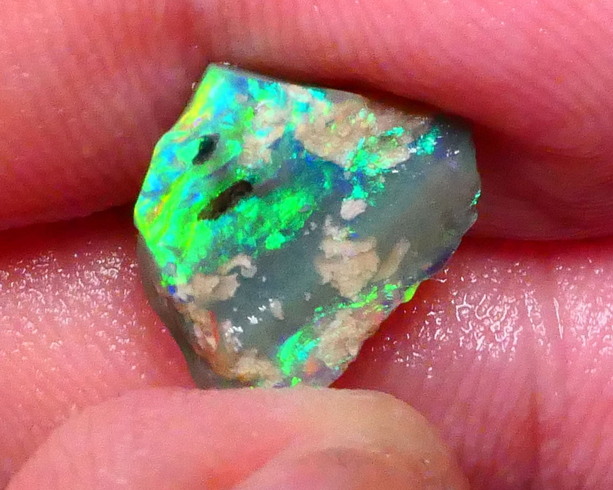 Bright & grogeous Greens & blues 2.10cts Lighting Ridge Opalised wood fossil rough 12x11x3mm Lot B4-A621