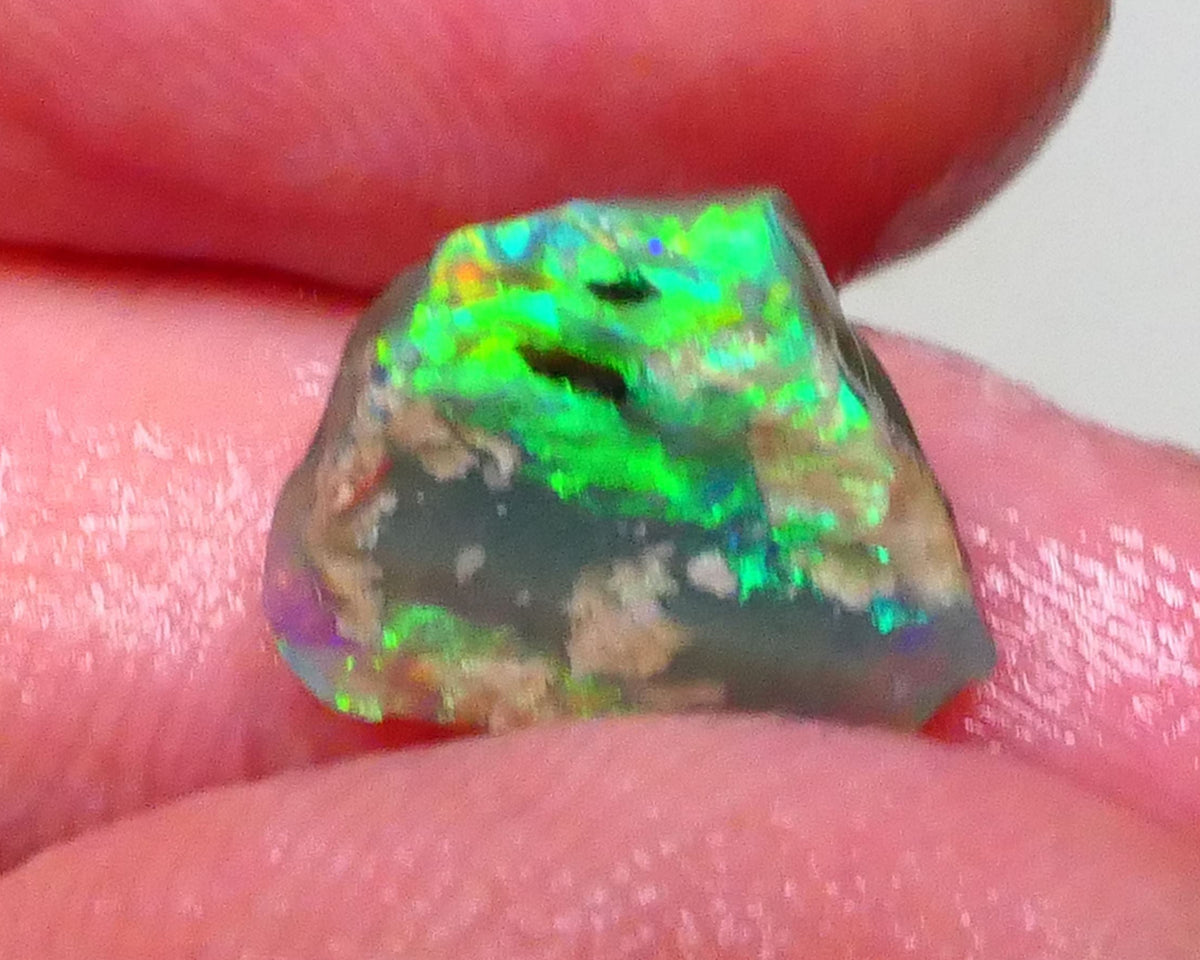 Bright & grogeous Greens & blues 2.10cts Lighting Ridge Opalised wood fossil rough 12x11x3mm Lot B4-A621