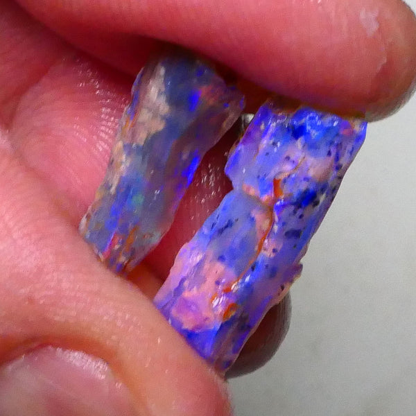 Lightning Ridge opalised woods fossil rough 7.25cts lots of blues colours to gamble 20x8x6mm to 17x7x4mm  Lot B4-A622