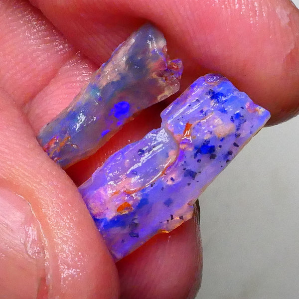 Lightning Ridge opalised woods fossil rough 7.25cts lots of blues colours to gamble 20x8x6mm to 17x7x4mm  Lot B4-A622