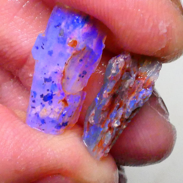 Lightning Ridge opalised woods fossil rough 7.25cts lots of blues colours to gamble 20x8x6mm to 17x7x4mm  Lot B4-A622