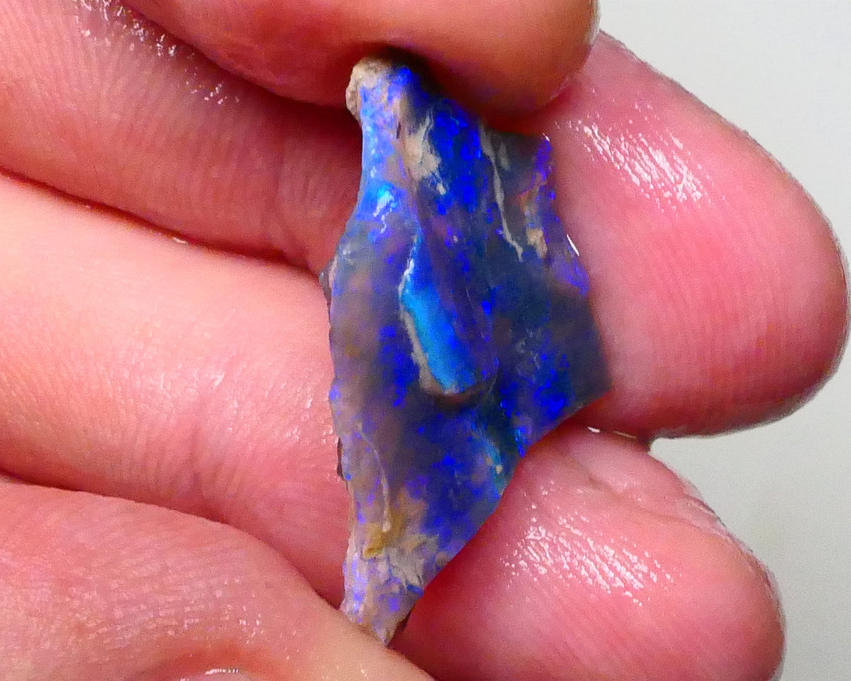 Gorgeous Bright Royal Blues on this Black seam opal rough to cut 8.60cts Lightning Ridge Material 27x18x6mm  Lot B4-A623