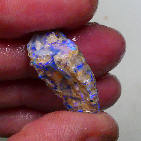 Stunning Opalised Fossil/knobby opal rough 24x12x10mm Bright Blues/Greens Collect or carve 24x12x10mm  Lot B4-A624