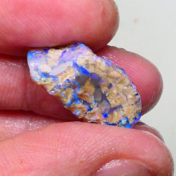 Stunning Opalised Fossil/knobby opal rough 24x12x10mm Bright Blues/Greens Collect or carve 24x12x10mm  Lot B4-A624