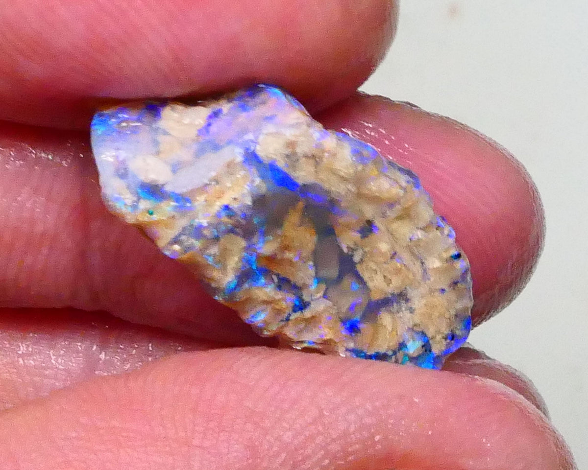 Stunning Opalised Fossil/knobby opal rough 24x12x10mm Bright Blues/Greens Collect or carve 24x12x10mm  Lot B4-A624
