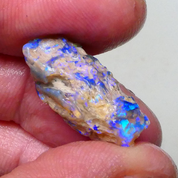 Stunning Opalised Fossil/knobby opal rough 24x12x10mm Bright Blues/Greens Collect or carve 24x12x10mm  Lot B4-A624
