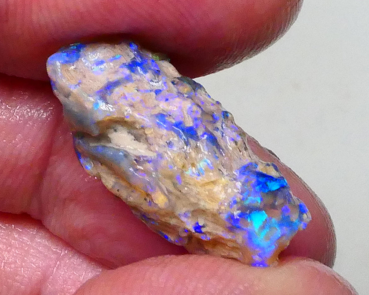 Stunning Opalised Fossil/knobby opal rough 24x12x10mm Bright Blues/Greens Collect or carve 24x12x10mm  Lot B4-A624