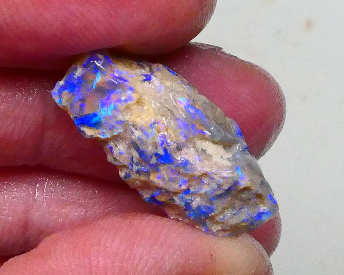 Stunning Opalised Fossil/knobby opal rough 24x12x10mm Bright Blues/Greens Collect or carve 24x12x10mm  Lot B4-A624